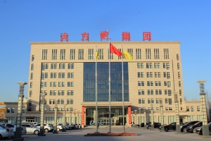 大方風(fēng)貌