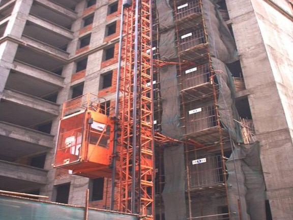 �����C�е���|ԓ��α��o��